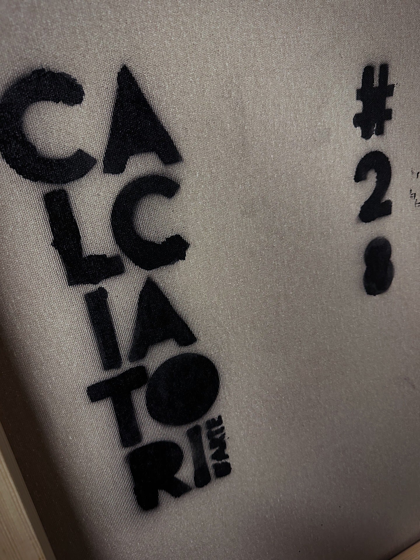 Davide Astori X ACF Fiorentina